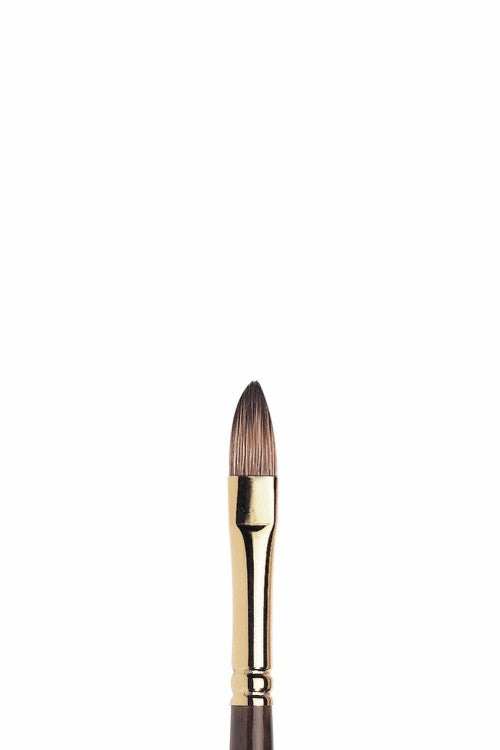 Winsor & Newton Monarch – Kort Filbert