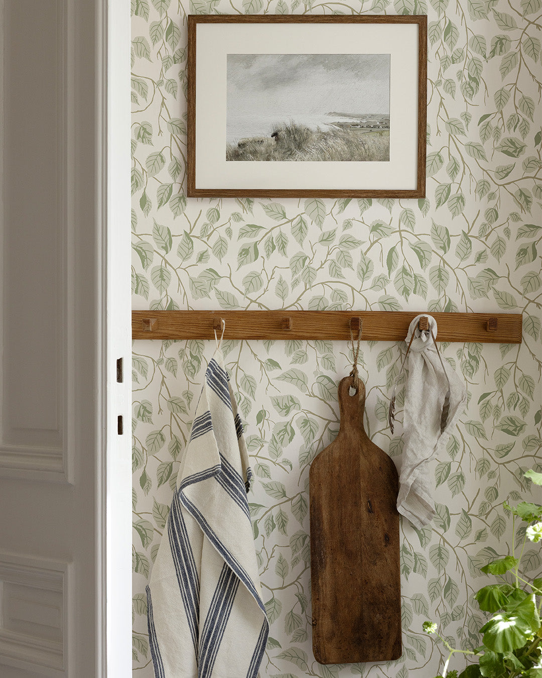 Midbec Hängbjörk - 20107