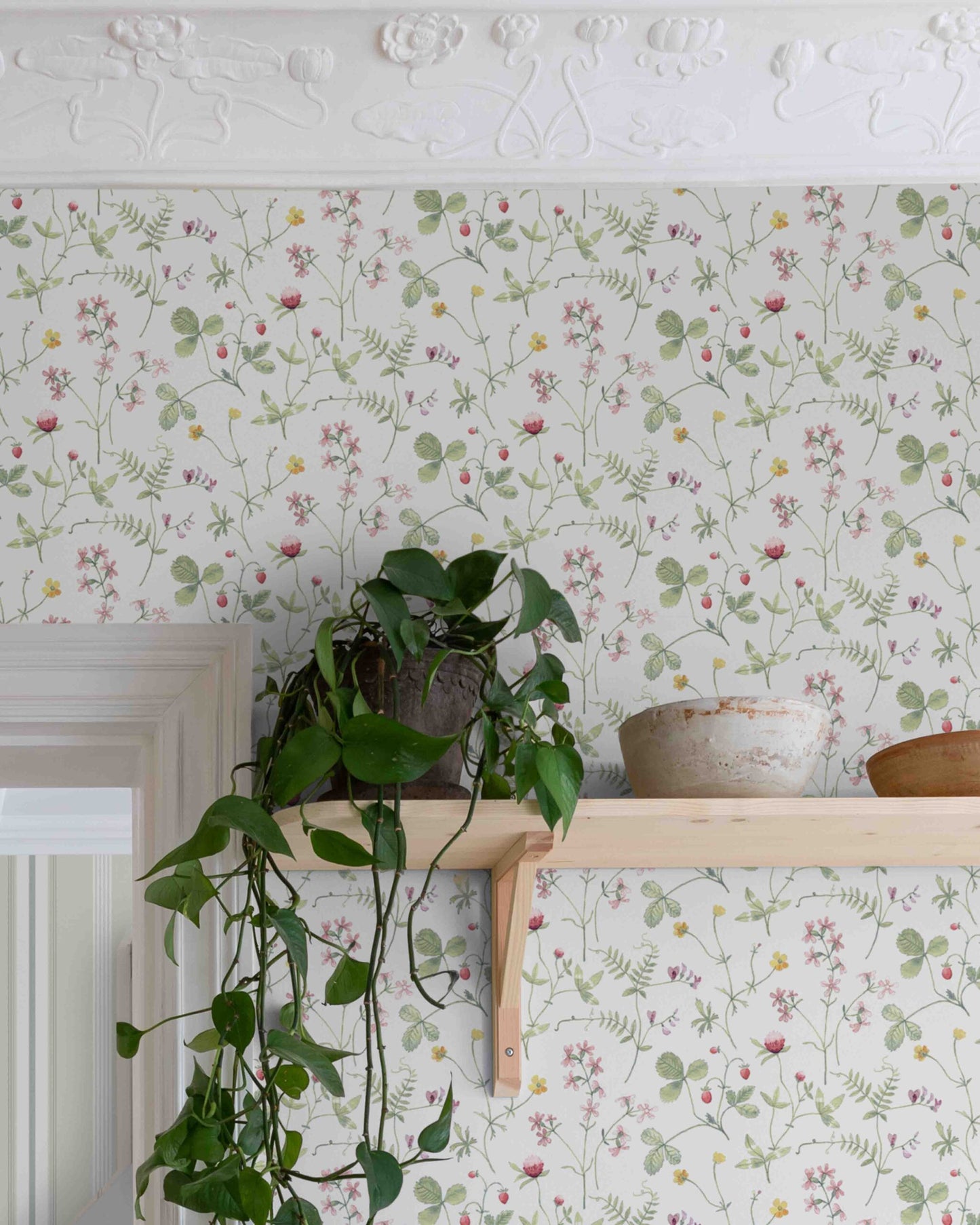 Midbec Julia - 27010