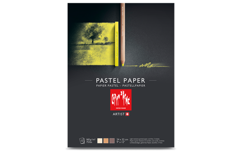 Pastellblock Caran d´Ache 160g 24x32cm 12ark 3 färger