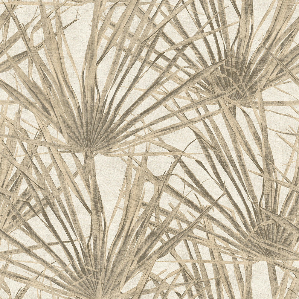 Midbec Herbarium Palm - HE27260