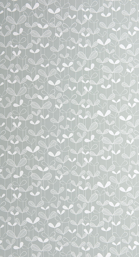 Midbec Saplings Silverleaf - MISP1260