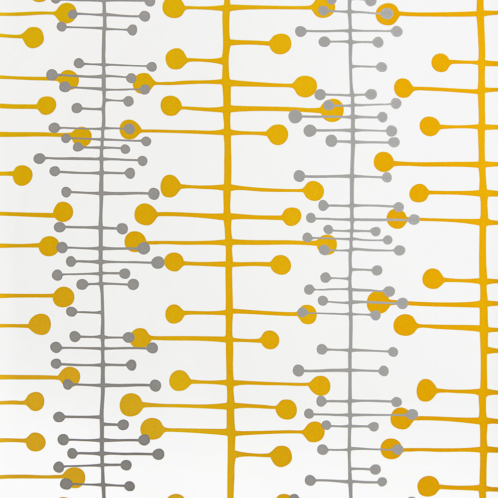 Midbec Muscat Switch - MISP1362
