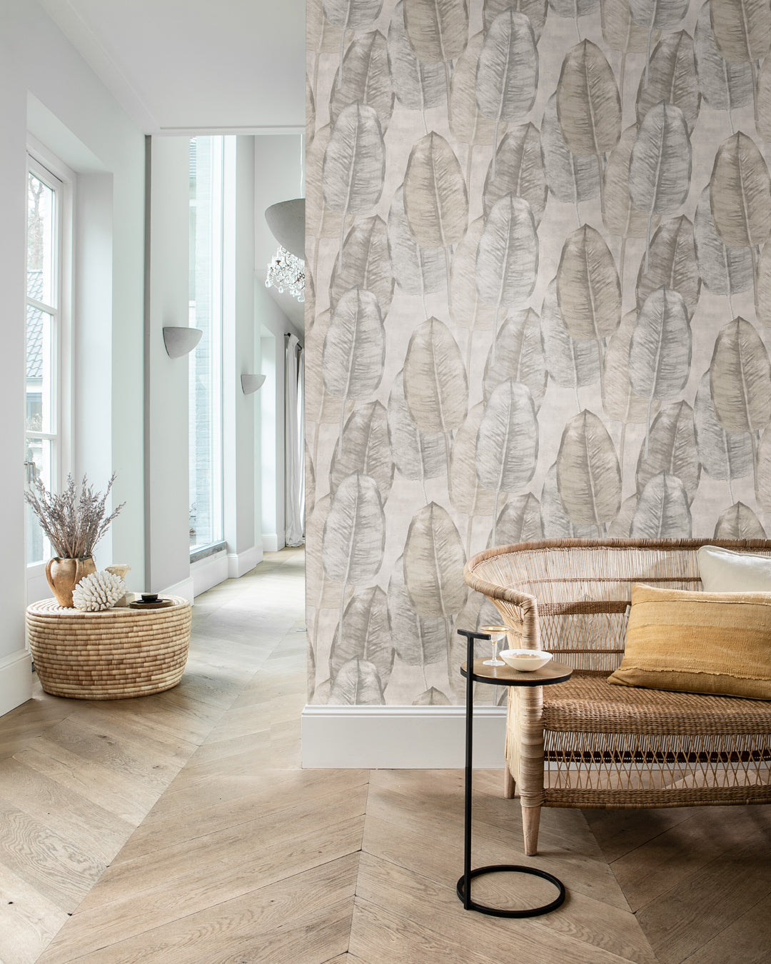 Midbec Rubber Tree - TA25080