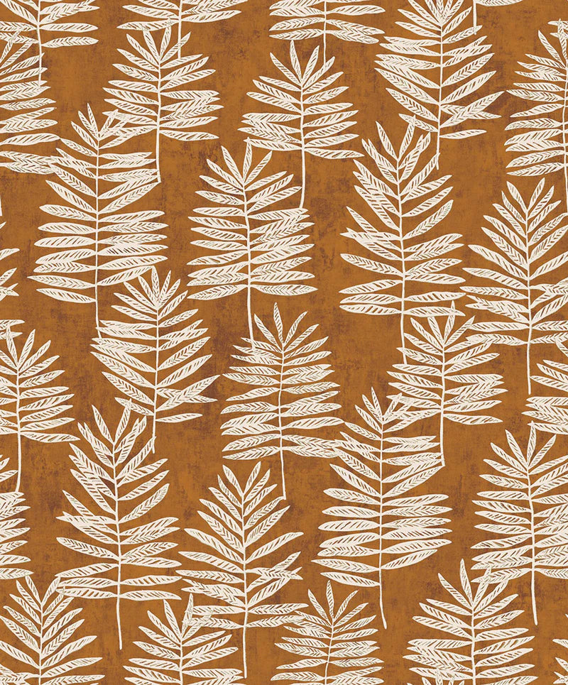 Fiona Grace MODERN POLYPODY - 36506