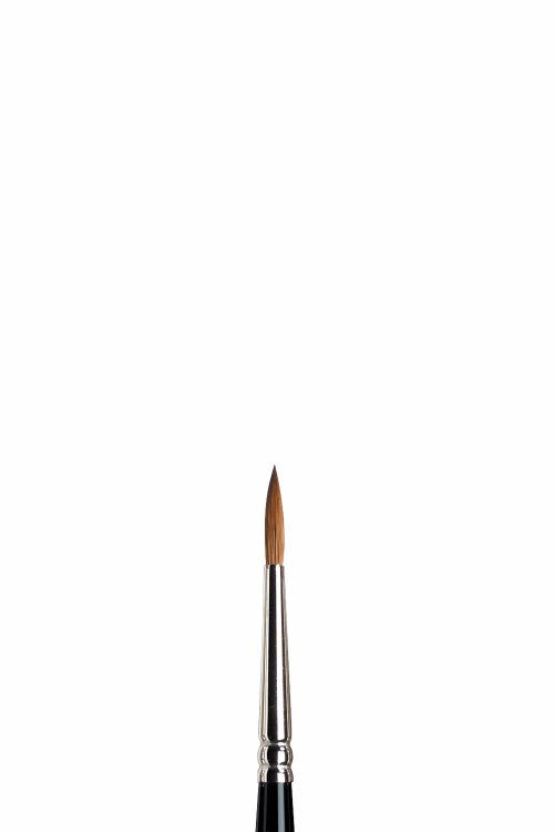 Winsor & Newton – Serie 7 (mårdhår)