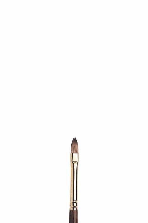 Winsor & Newton Monarch – Kort Filbert