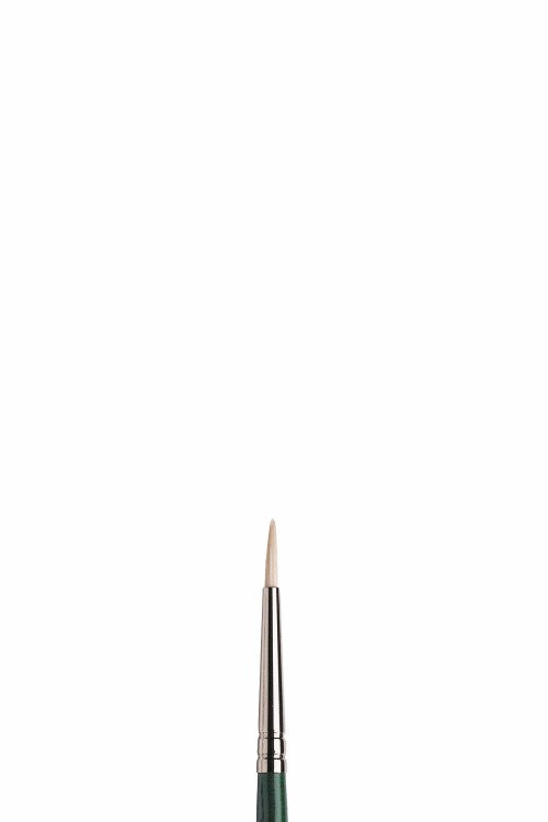 Winsor & Newton Winton Svinborstpensel – Rund