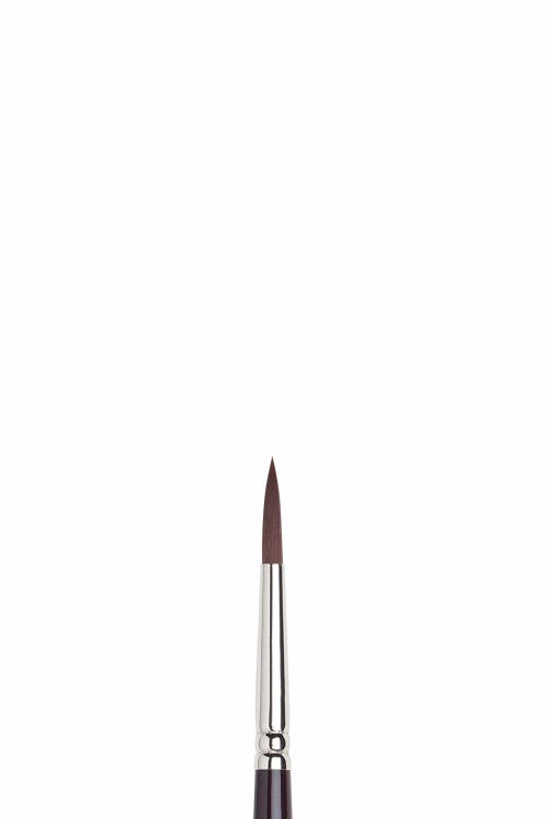 Winsor & Newton Galeria – Rund