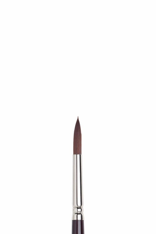 Winsor & Newton Galeria – Rund