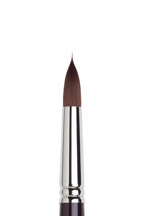 Winsor & Newton Galeria – Rund