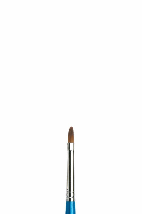 Winsor & Newton Cotman – Filbert