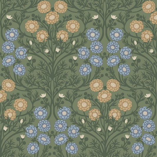 Midbec Bellis - 14019