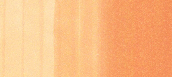 Copic Ciao Marker