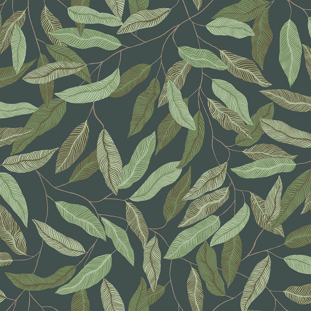 Midbec Florian - 15905