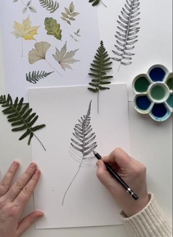 Midbec Betula - 15930