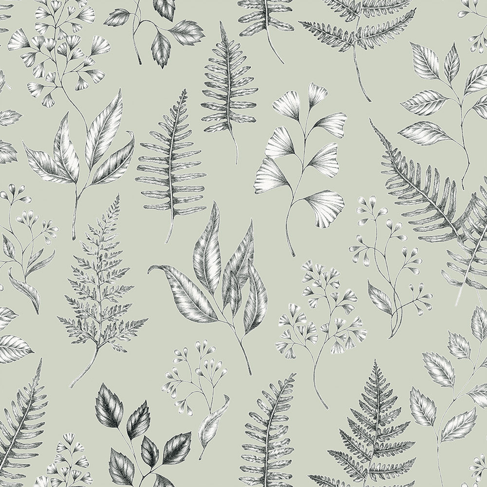 Midbec Betula - 15932