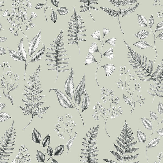 Midbec Betula - 15932