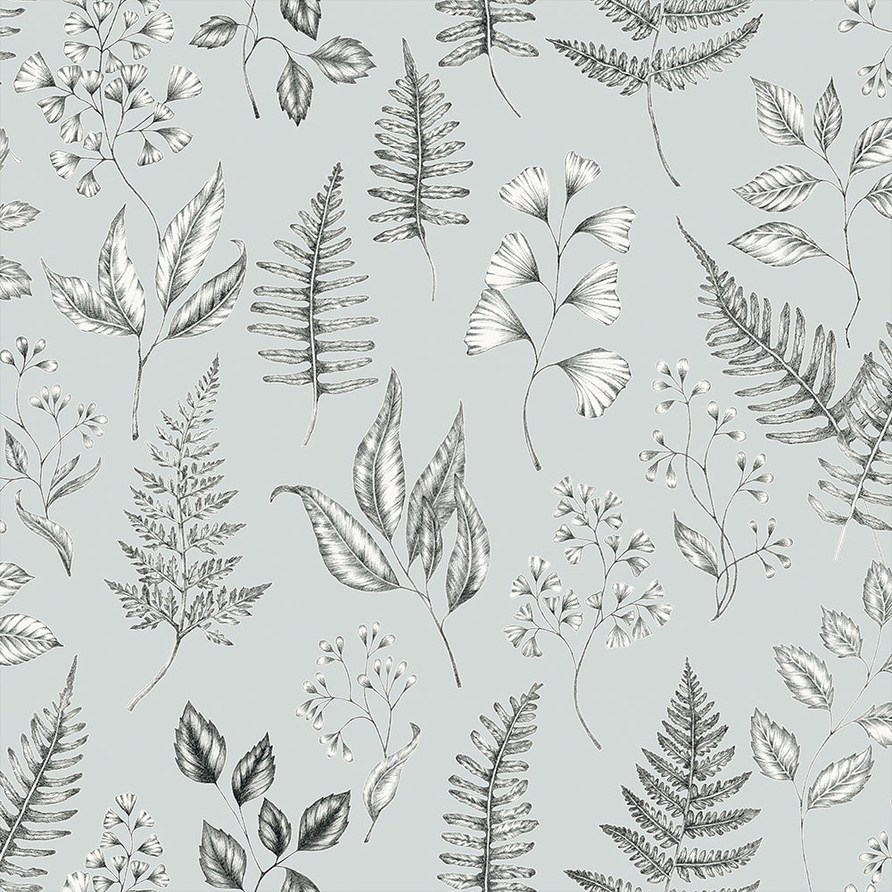 Midbec Betula - 15934