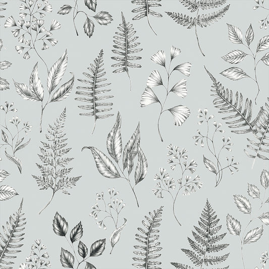 Midbec Betula - 15934