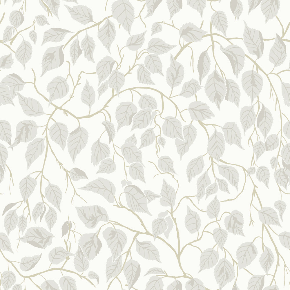 Midbec Hängbjörk - 20106