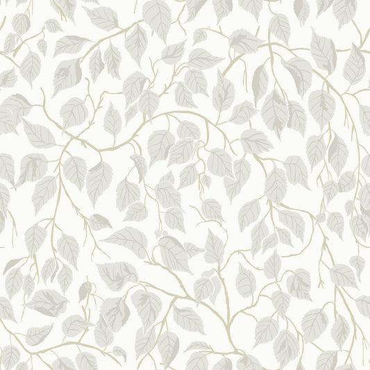 Midbec Hängbjörk - 20106