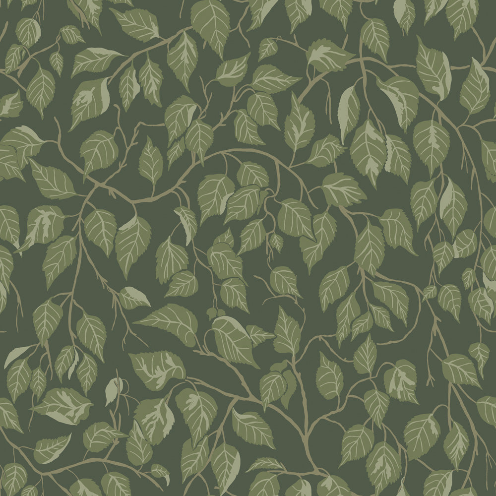 Midbec Hängbjörk - 20108