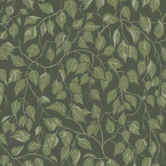 Midbec Hängbjörk - 20108