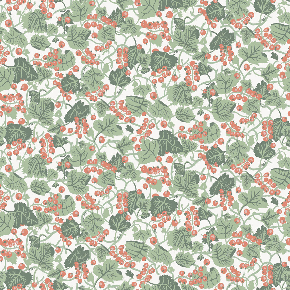 Midbec Vinbärsplock - 26018