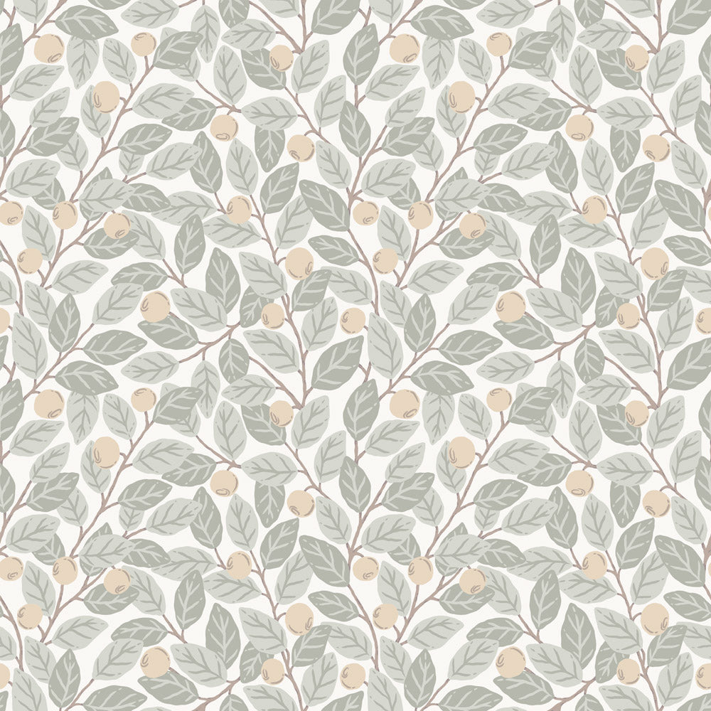 Midbec Blåbär - 26025