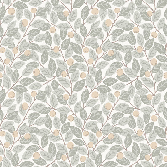 Midbec Blåbär - 26025