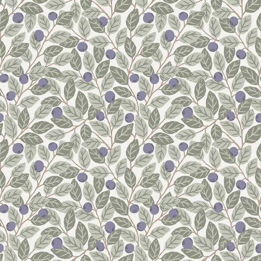 Midbec Blåbär - 26027