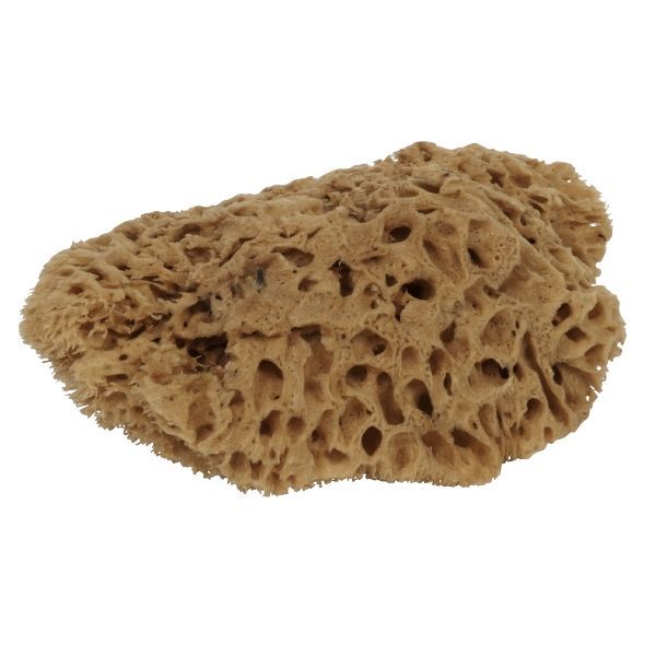 Mäster Natursvamp 190-200 mm