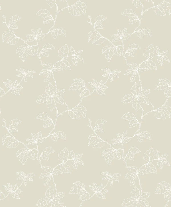 Fiona Home NW Shadow of Branches - 200202