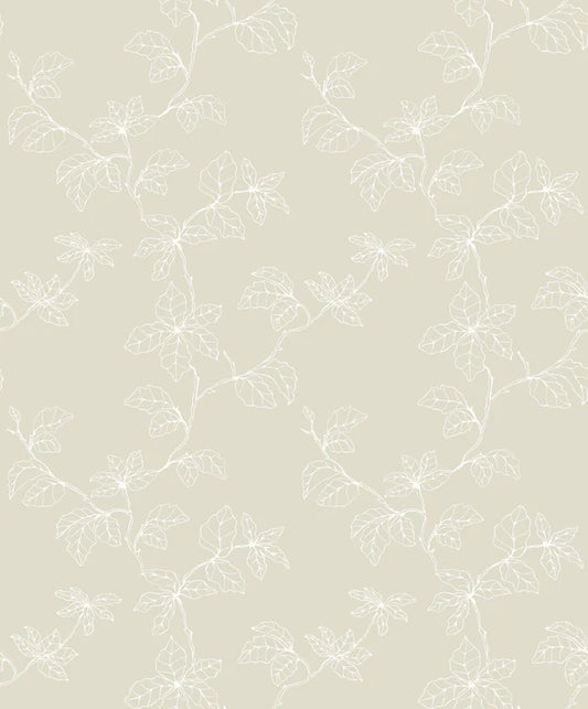 Fiona Home NW Shadow of Branches - 200202