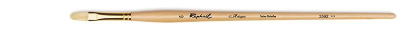 Raphael Svinborst Raphael Kattunga - St 6
