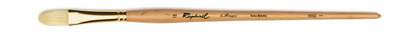 Raphael Svinborst Raphael Kattunga - St 16