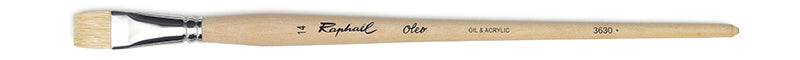 Raphael Svinborst OLEO Flat - St 14