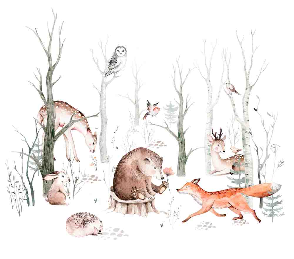 Midbec Kids World - 364903