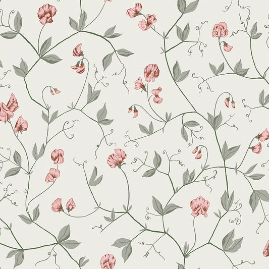 Midbec Juliet - 39032