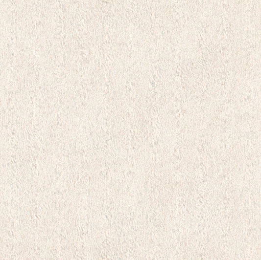 Midbec Fashion - 423204