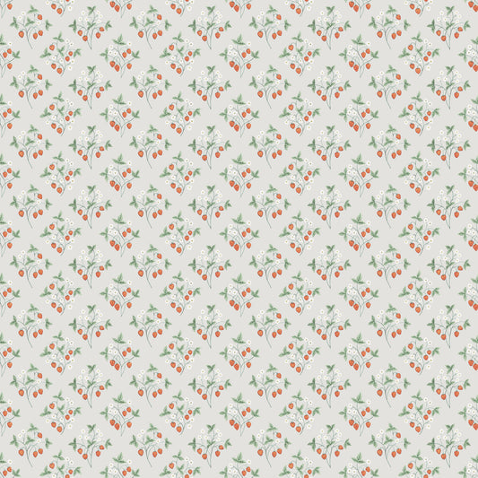 Midbec Jordgubbar - 43123