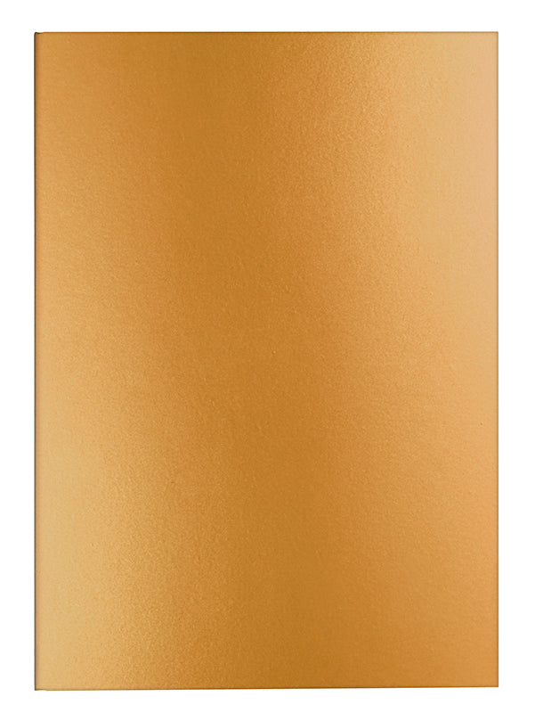 Skrivbok Caran d'Ache Notebook