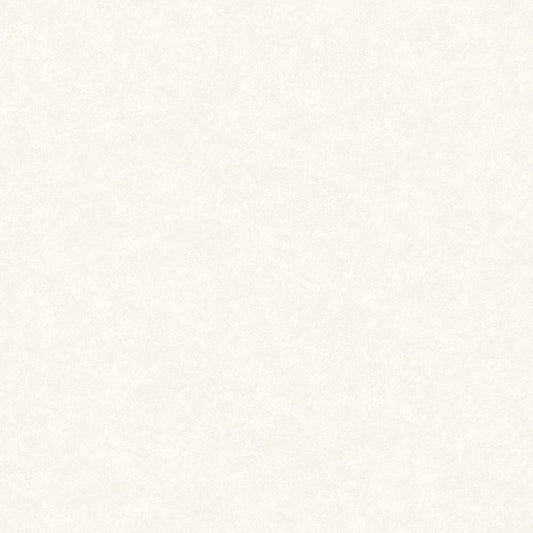 Fiona Home NW Concrete - 200101