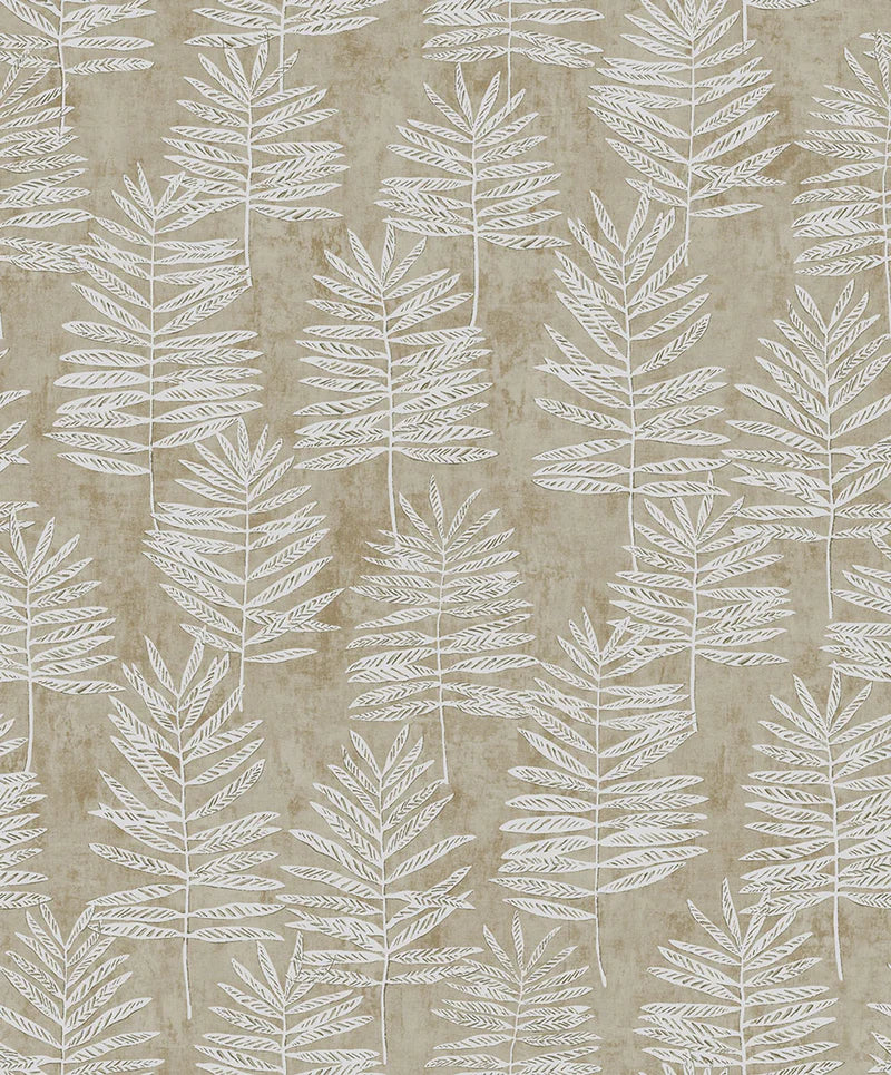 Fiona Grace MODERN POLYPODY - 36505