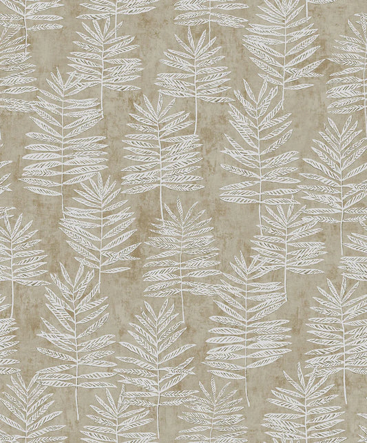 Fiona Grace MODERN POLYPODY - 36505