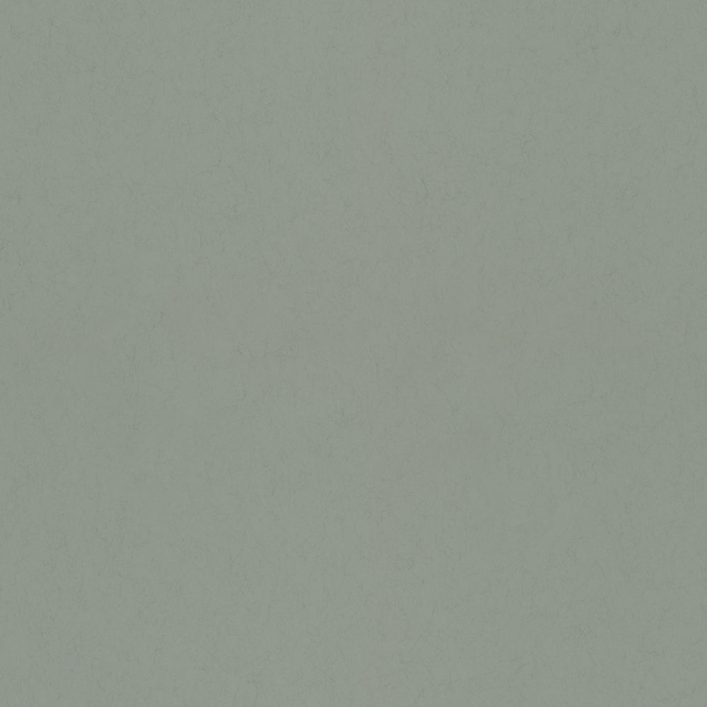 Midbec Avokado - 77002