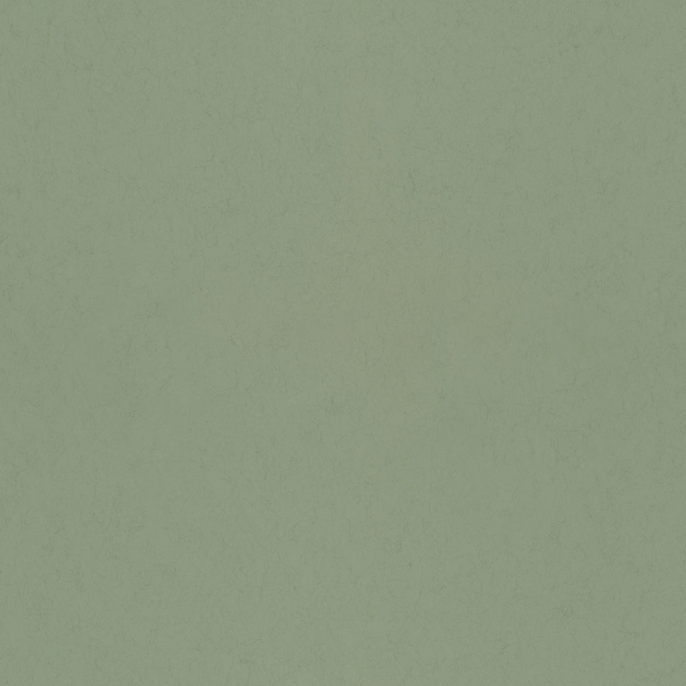 Midbec Salvia - 77006