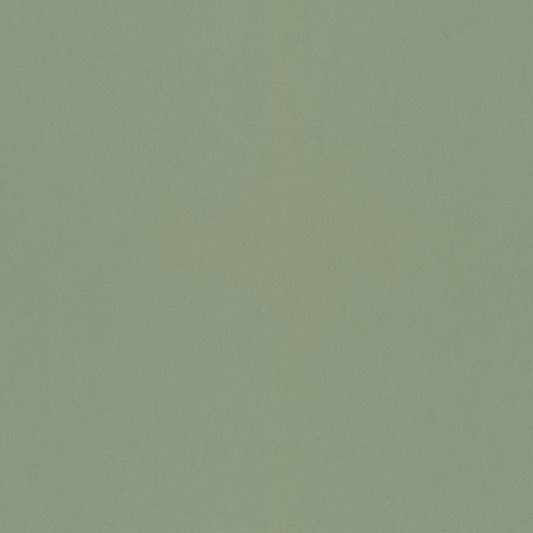 Midbec Salvia - 77006