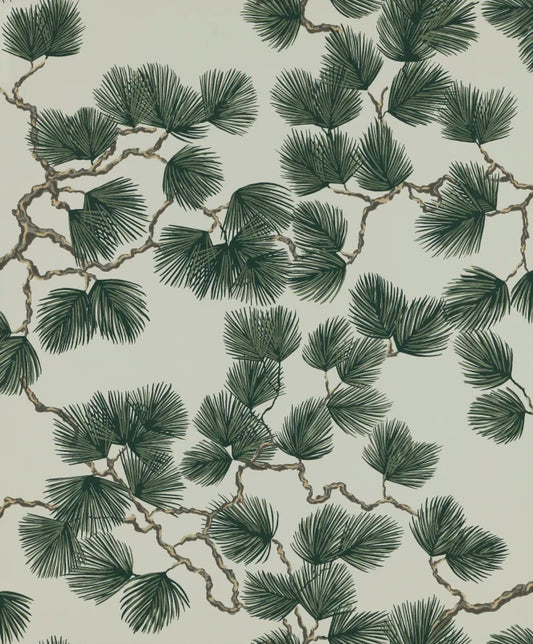 Sandberg Pine, Green - 804-78